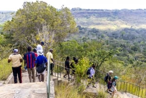Safari de jour dans les collines de Shimba et randonnée aux chutes de Sheldrick (visite privée)
