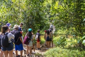 Privat dagssafari i Shimba Hills och vandring i Sheldrick Falls