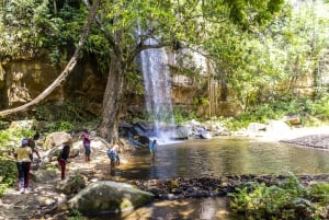 Privat dagssafari i Shimba Hills och vandring i Sheldrick Falls