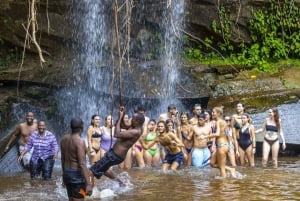 Shimba Hills Day Safari & Sheldrick Falls Hike Privat tur