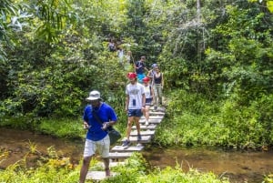 Shimba Hills päiväsafari & Sheldrick Falls vaellus Yksityinen retki