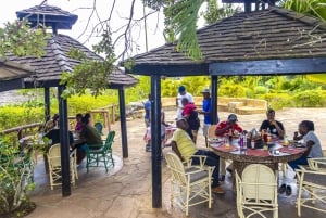 Shimba Hills Day Safari & Sheldrick Falls Hike Wycieczka prywatna