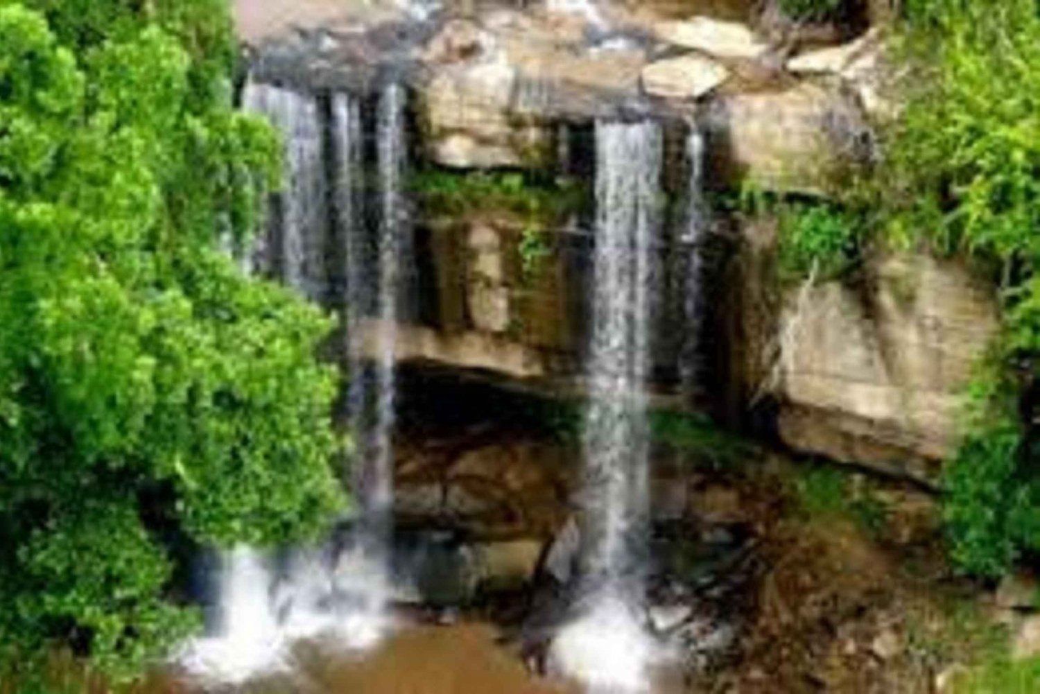 Shimba Hills: Passeio de carro, caminhada na cascata e almoço