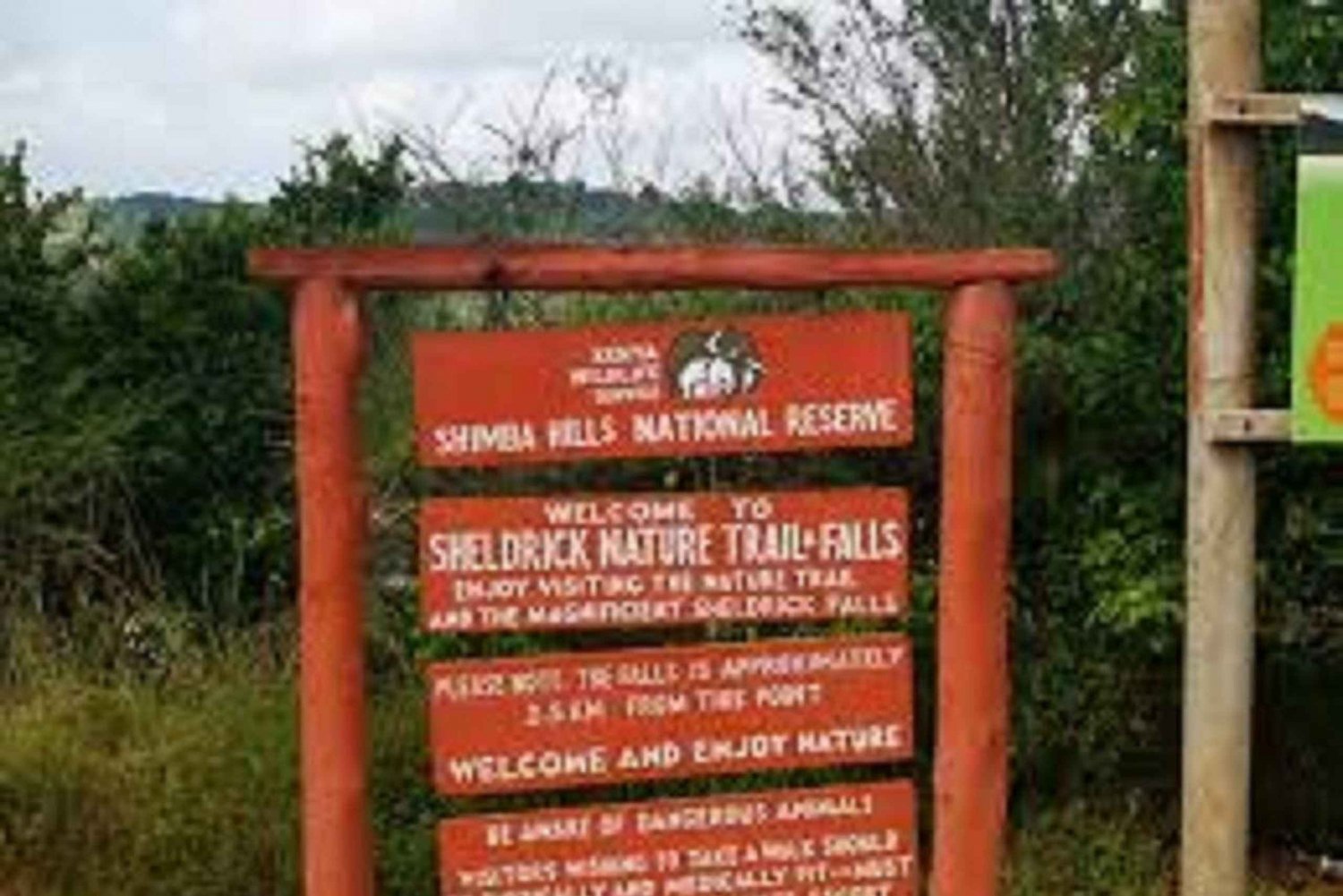 Shimba Hills: Game Drive, Waterfall Hike, and Lunch