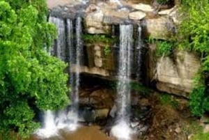 Shimba Hills: Game Drive, Waterfall Hike, and Lunch