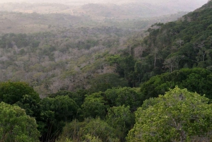 Dagstur fra Shimba Hills nasjonalreservat fra Diani