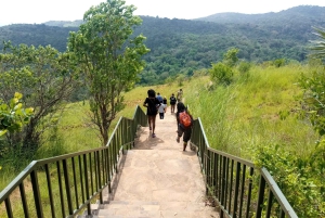 Dagstur fra Shimba Hills nasjonalreservat fra Diani