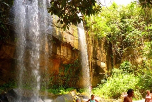 Dagstur fra Shimba Hills nasjonalreservat fra Diani