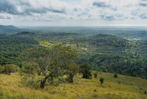 Dagstur fra Shimba Hills nasjonalreservat fra Diani