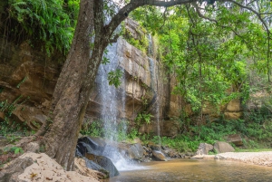Dagstur fra Shimba Hills nasjonalreservat fra Diani