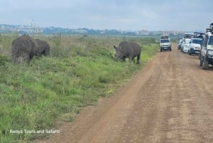 Siluetti ja safari: Nairobin kansallispuiston Big Five -seikkailu