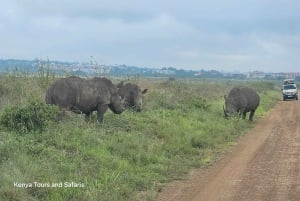 Siluetti ja safari: Nairobin kansallispuiston Big Five -seikkailu