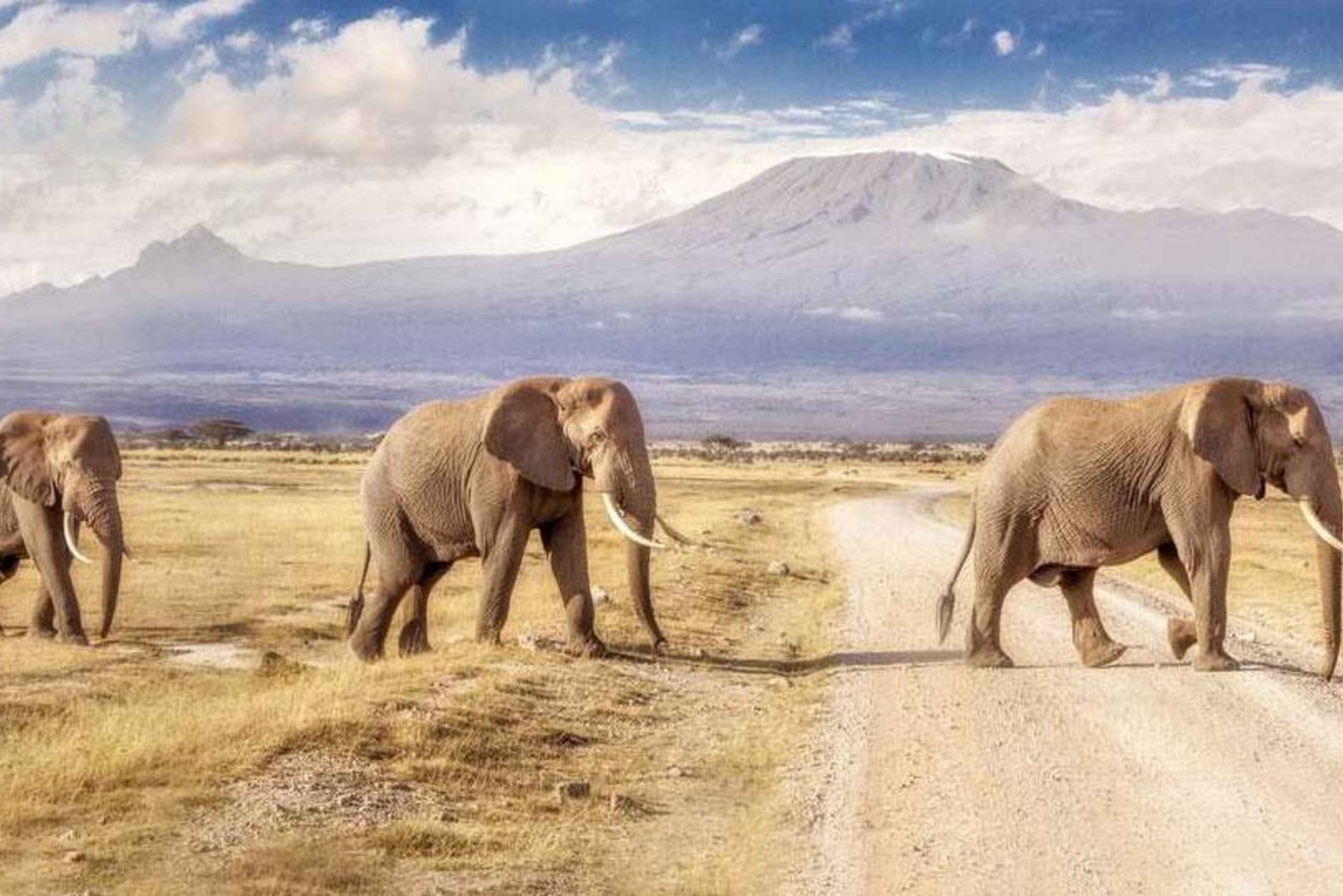 Pienryhmäsafari Amboseliin