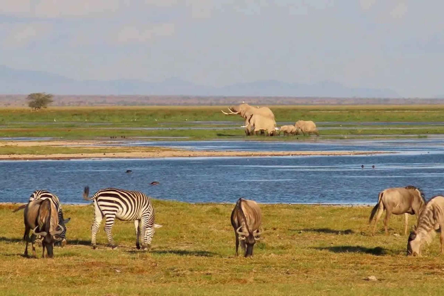 Pienryhmäsafari Amboseliin