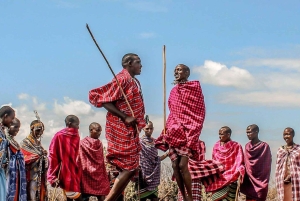 Pienryhmäsafari Amboseliin