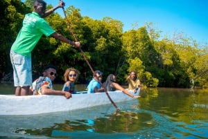 Blå safari: Snorkling og sjømat i Watamu Marine Park