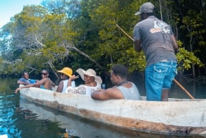 Blå safari: Snorkling ved Watamu Marine Park og fisk og skaldyr