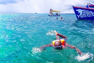 Blauwe safari: Snorkelen bij Watamu Marine Park & Zeevruchten
