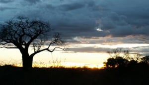 Suntrek Safaris