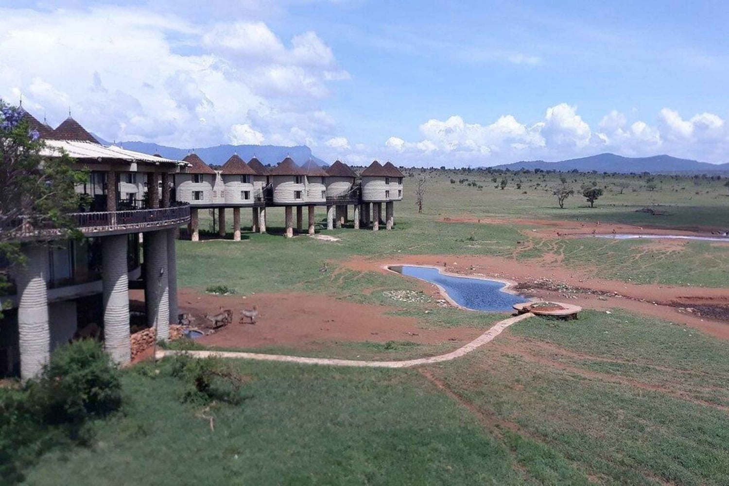 Taita Hills: wędrówka z lokalnym przewodnikiem po lesie mglistym