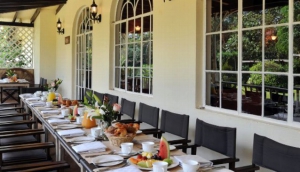 Tamambo at Karen Blixen Coffee Garden