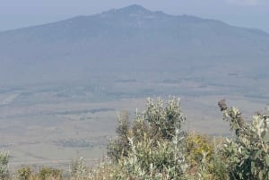 Parapente duplo com filmagem GoPro gratuita a partir de Nairobi