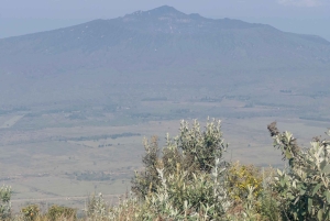 Parapente duplo com filmagem GoPro gratuita a partir de Nairobi