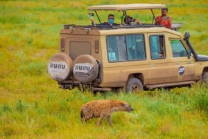 Tanzania: 6-Day Great Migration Safari