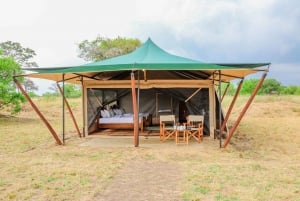 Tanzania: 6-Day Great Migration Safari