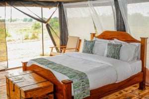 Tanzania: 6-Day Great Migration Safari