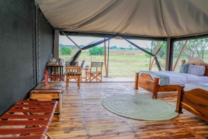 Tanzania: 6-Day Great Migration Safari