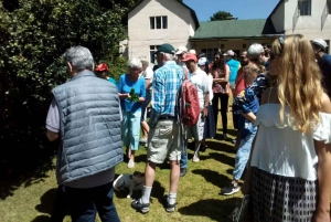 Tea Farm From Nairobi (Kiambethu)