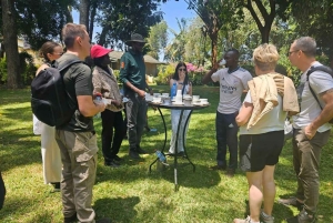 Tea Farm From Nairobi (Kiambethu)