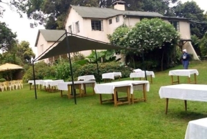 Tea Farm From Nairobi (Kiambethu)