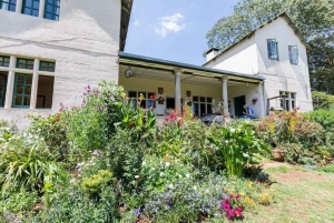 Tea Farm From Nairobi (Kiambethu)