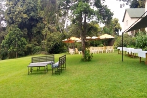 Tea Farm Tour From Nairobi (Kiambethu)