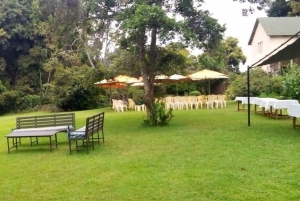 Tea Farm Tour From Nairobi (Kiambethu)