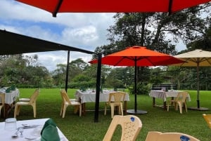 Te-gårdstur fra Nairobi (Kiambethu).