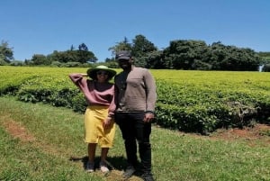 Te-gårdstur fra Nairobi (Kiambethu).
