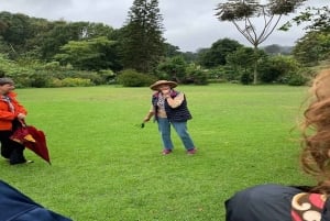 Te-gårdstur fra Nairobi (Kiambethu).