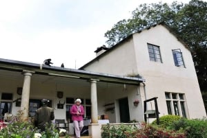 Te-gårdstur fra Nairobi (Kiambethu).