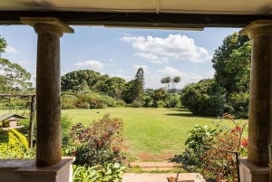 Te-gårdstur fra Nairobi (Kiambethu).