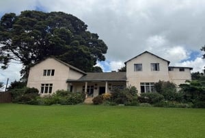 Te-gårdstur fra Nairobi (Kiambethu).