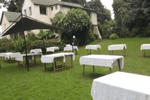 Te-gårdstur fra Nairobi (Kiambethu).