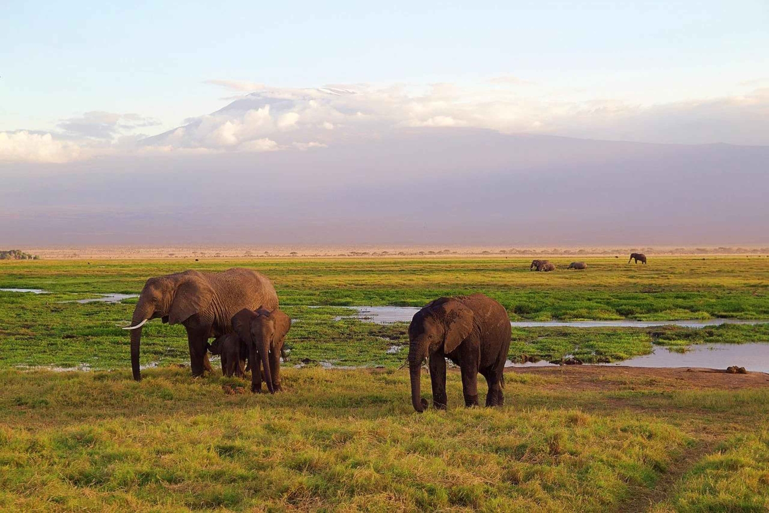 De beste privé-safari's met overnachting naar Amboseli National Park