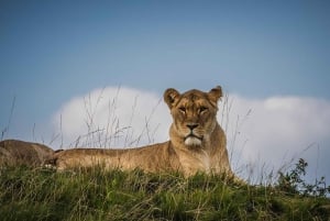 アンボセリ国立公園への最高の宿泊付きプライベートサファリ