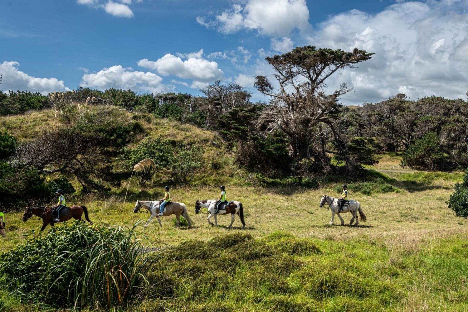The Great Rift Escapade: Horseback Safari & Crescent Island