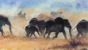 The Leo Collection