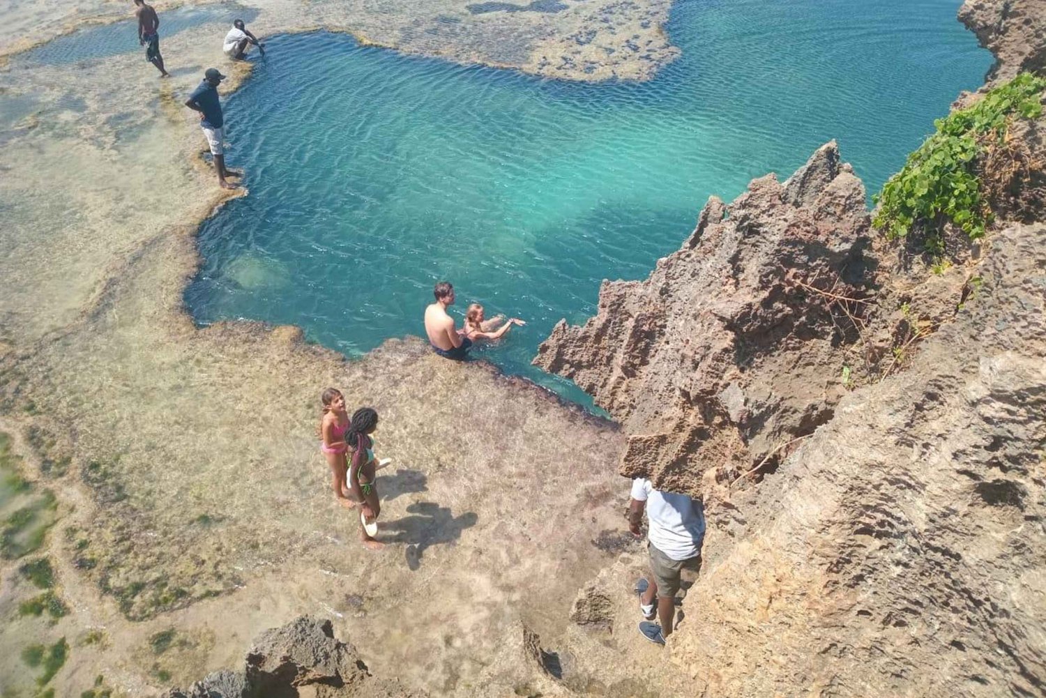 Tiwi : billet d'entrée pour la piscine africaine