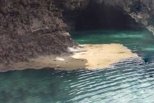 Tiwi : billet d'entrée pour la piscine africaine